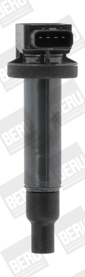 BorgWarner (BERU) Sytytyspuola ZSE165