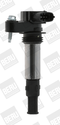 BorgWarner (BERU) Süütepool ZSE174