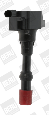 BorgWarner (BERU) Süütepool ZSE175