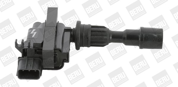 BorgWarner (BERU) Süütepool ZSE190