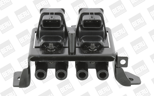 BorgWarner (BERU) Süütepool ZSE195