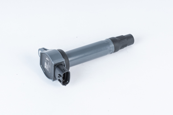 BorgWarner (BERU) Sytytyspuola ZSE207
