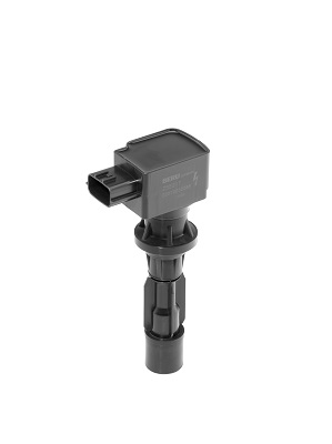 BorgWarner (BERU) Süütepool ZSE217