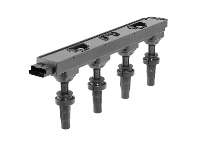 BorgWarner (BERU) Süütepool ZSE279