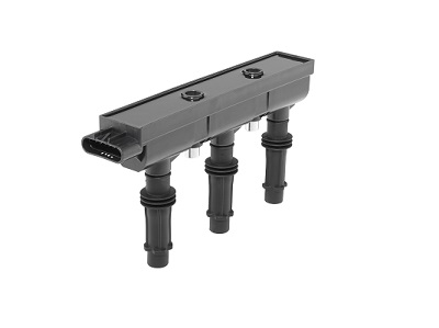 BorgWarner (BERU) Süütepool ZSE286