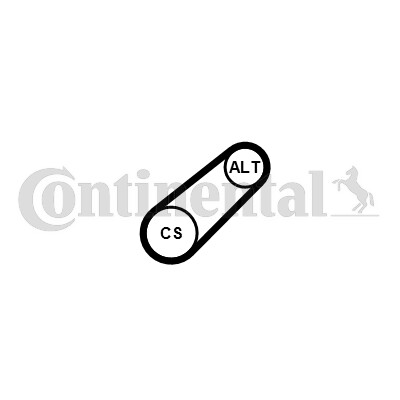 CONTINENTAL CTAM Moniurahihna 6PK799 ELAST