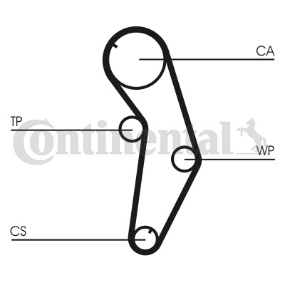 CONTINENTAL CTAM Hammashihnat CT841