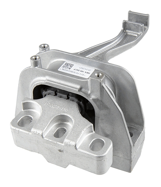 LEMFÖRDER variklio montavimas 43424 01