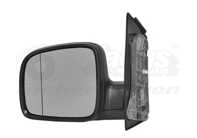 VAN WEZEL išorinis veidrodėlis 5896803