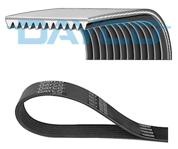DAYCO Pasek klinowy wielorowkowy 12PK1925HD