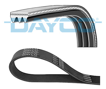 DAYCO Pasek klinowy wielorowkowy 3PK500