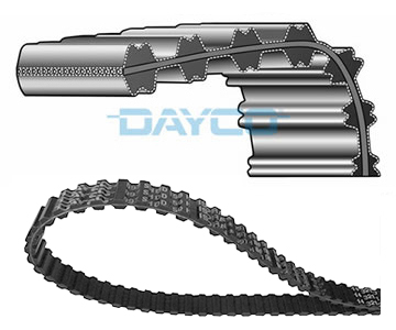 DAYCO Pasek rozrządu 94555