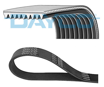 DAYCO Soonrihm 9PK2010HD