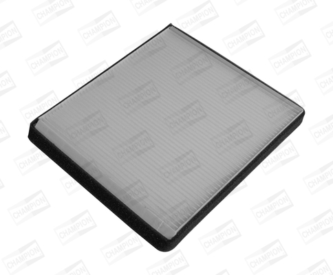 CHAMPION Filter,salongiõhk CCF0245