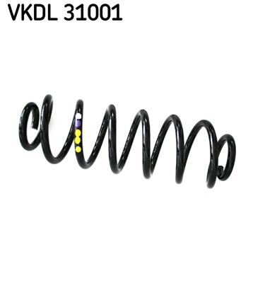 SKF spyruoklė VKDL 31001