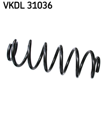 SKF spyruoklė VKDL 31036
