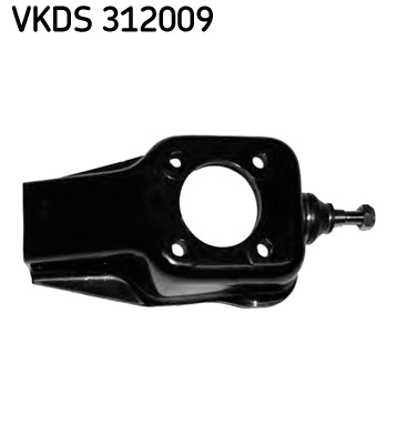 SKF Šarniir VKDS 312009