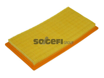 FRAM Õhufilter CA10118