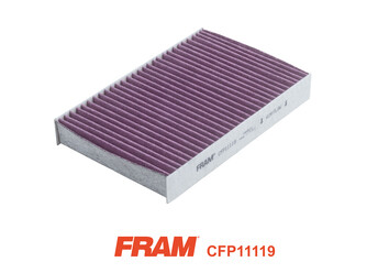 FRAM Filter,salongiõhk CFP11119