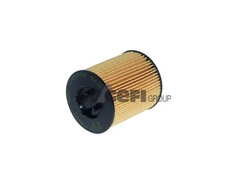 FRAM Õlifilter CH5976ECO