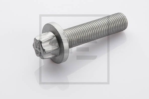PE Automotive Kruvi,piduriketas 010.176-00A