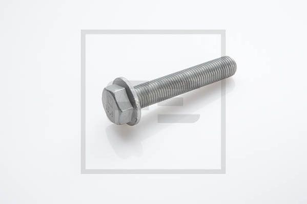 PE Automotive Kruvi,piduriketas 016.642-00A