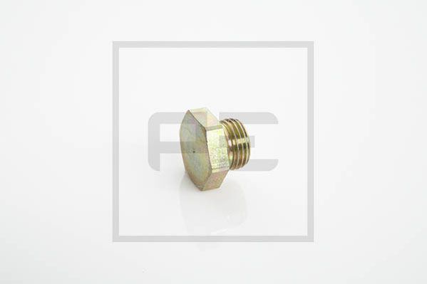 PE Automotive Sulgurkruvi 076.176-10A