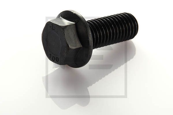 PE Automotive Polt 090.822-00A