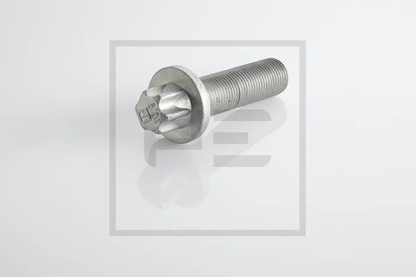 PE Automotive Kruvi,piduriketas 296.002-00A