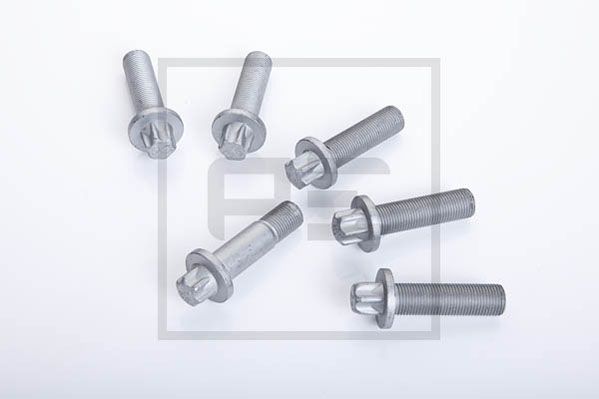 PE Automotive Śruba, zacisk hamulcowy 296.004-00A