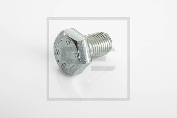 PE Automotive Kuuskantkruvi 800.560-08A