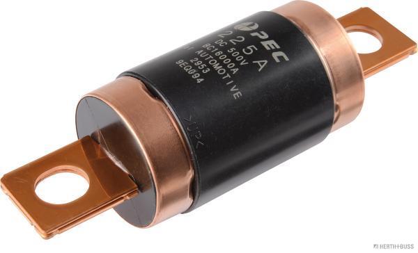 HERTH+BUSS ELPARTS Säkring 50295394