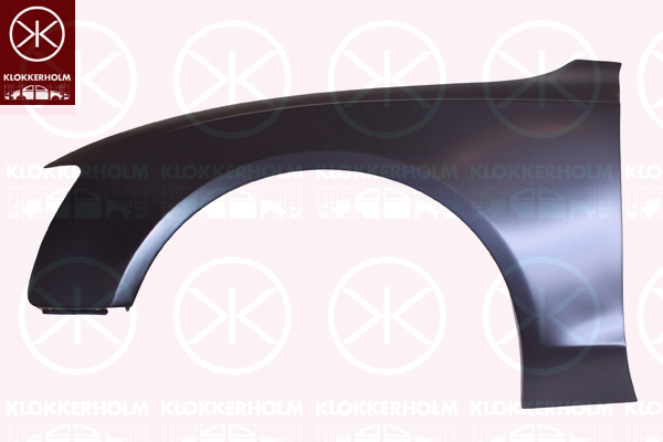 KLOKKERHOLM Lokasuoja 0038311