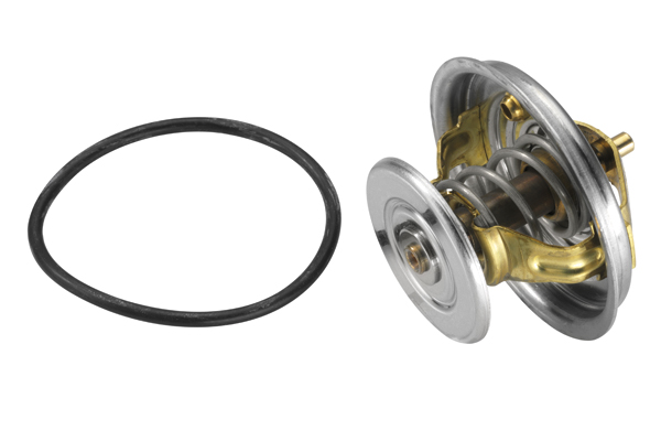 BorgWarner (Wahler) Termostat, kylmedel 4078.87D