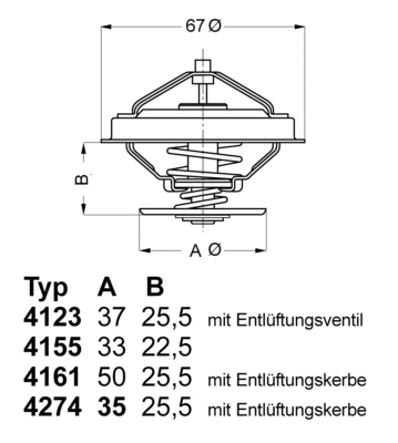BorgWarner (Wahler) termostatas, aušinimo skystis 4123.80D