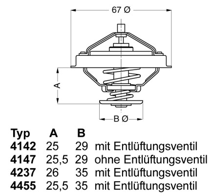 BorgWarner (Wahler) termostatas, aušinimo skystis 4455.80D