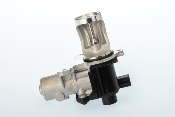 BorgWarner (Wahler) ERG vožtuvas 710571D/1
