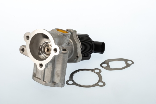 BorgWarner (Wahler) EGR-klapp 710773D