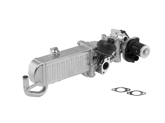 BorgWarner (Wahler) ERG modulis 710861D
