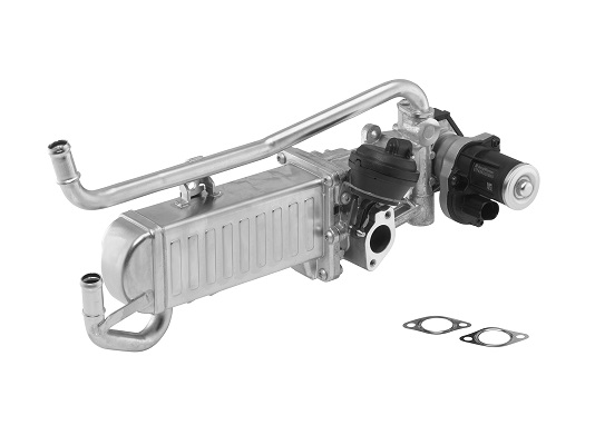 BorgWarner (Wahler) EGR-moodul 710862D