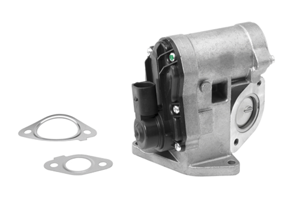 BorgWarner (Wahler) ERG vožtuvas 710930R
