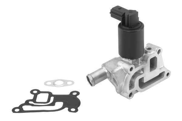 BorgWarner (Wahler) EGR-klapp 710933R