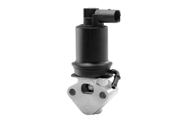 BorgWarner (Wahler) EGR-klapp 710953R