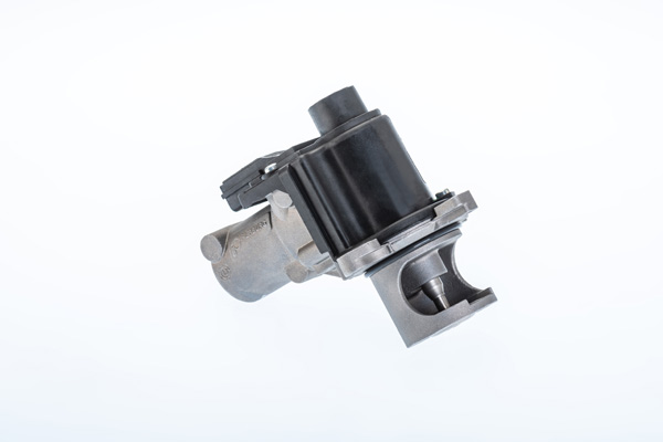 BorgWarner (Wahler) ERG vožtuvas 710977R