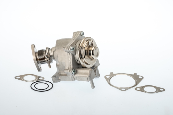 BorgWarner (Wahler) EGR-klapp 7631D/1