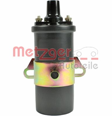 METZGER ritė, uždegimas 0880031