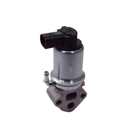 MAGNETI MARELLI ERG vožtuvas 571822112014