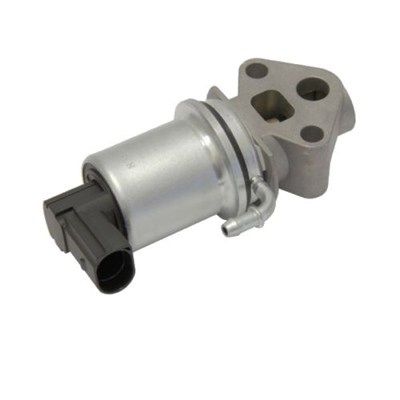 MAGNETI MARELLI EGR-klapp 571822112020