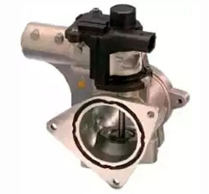 MAGNETI MARELLI ERG vožtuvas 571822112154