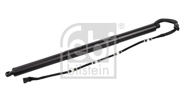 FEBI BILSTEIN Gaasivedru, pagasi-/veoruum 179300